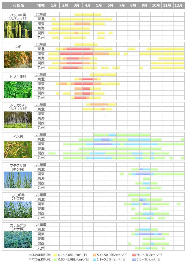 年間花粉症スケジュール