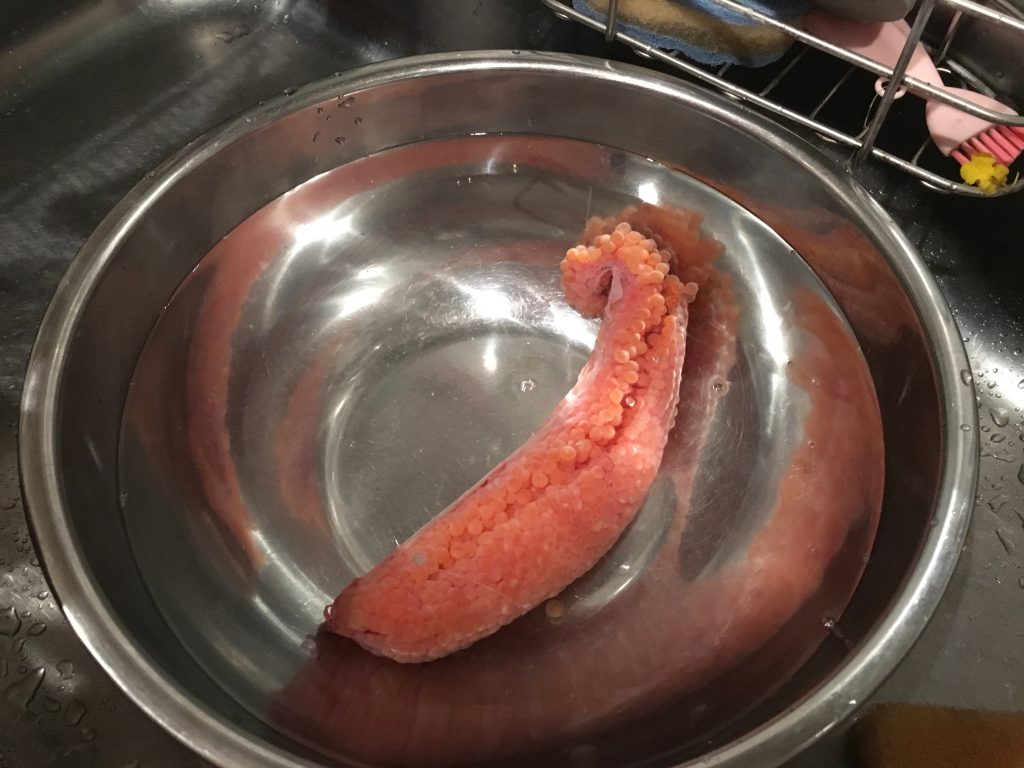 すじこをお湯の中にいれた図
